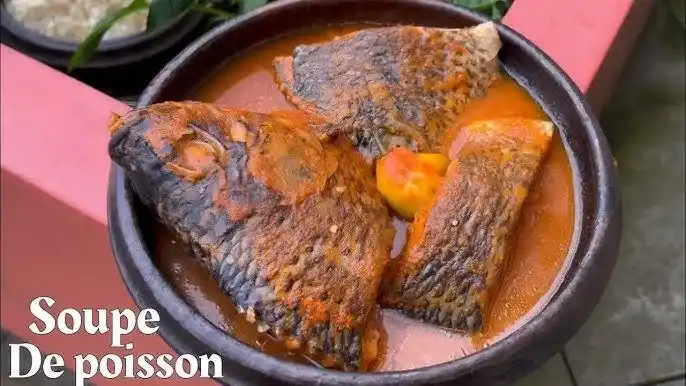 La Mangrove — PoissonCarpe