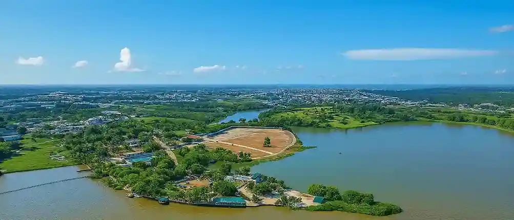 La Mangrove — Vue4