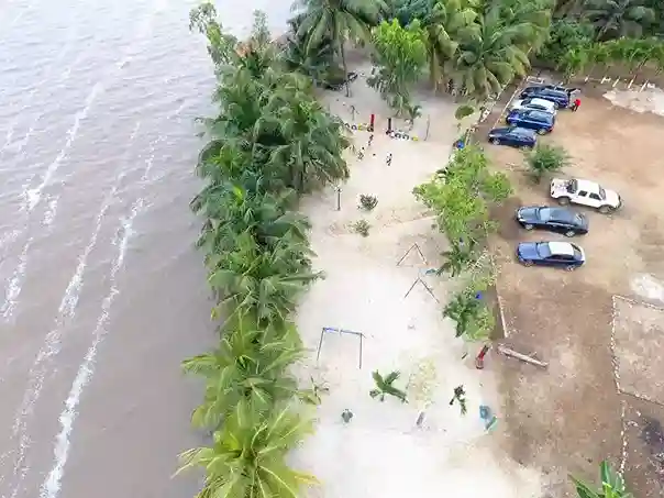 La Mangrove — Littoral
