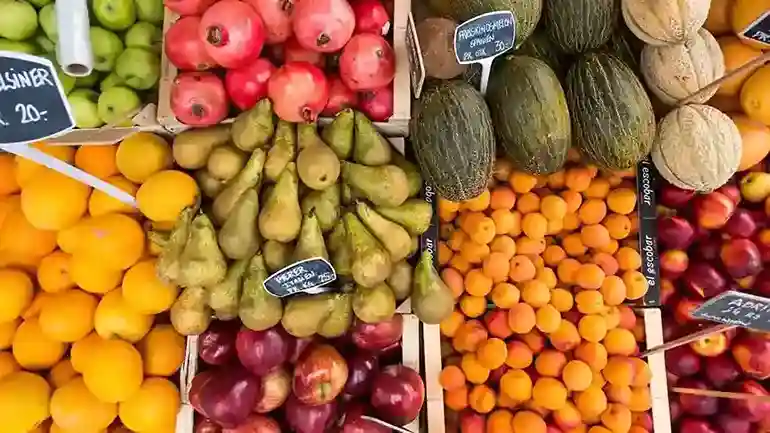 La Mangrove — Fruitsaison