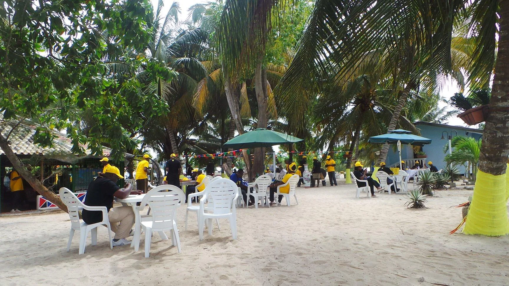 La Mangrove — Pleinair7