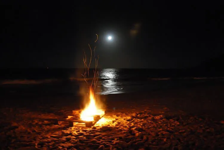 La Mangrove — FeuDeCamp